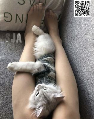 明明不喜欢电影在线看