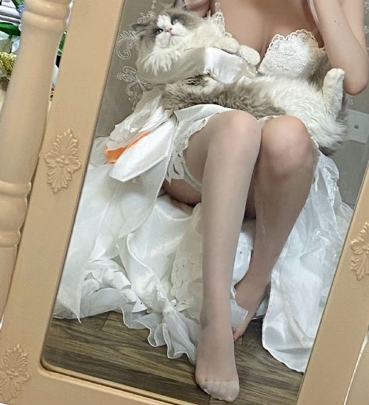 尸兄第三季