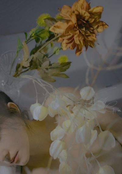 妈妈的职业电影在线观看