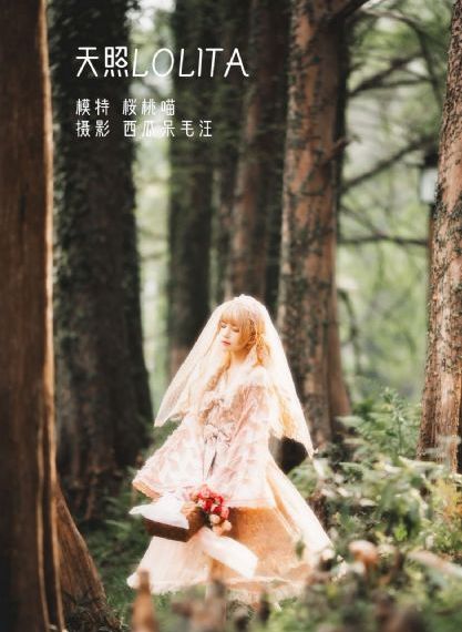 布朗森