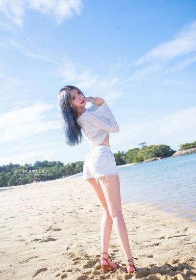 樱花官网动漫免费观看