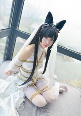 免费视频在线看